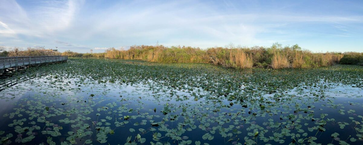 Everglades National Park, Florida - The National Parks Experience