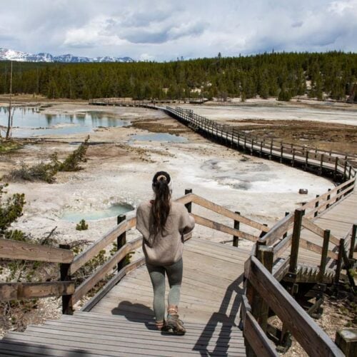 Porcelain Basin boardwalk hiker, Norris Geyser Basin, Yellowstone National Park