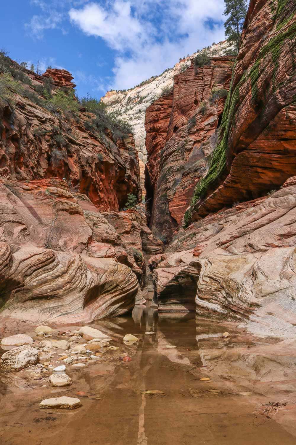 Echo Canyon, one of the most scenic views in Zion National Park