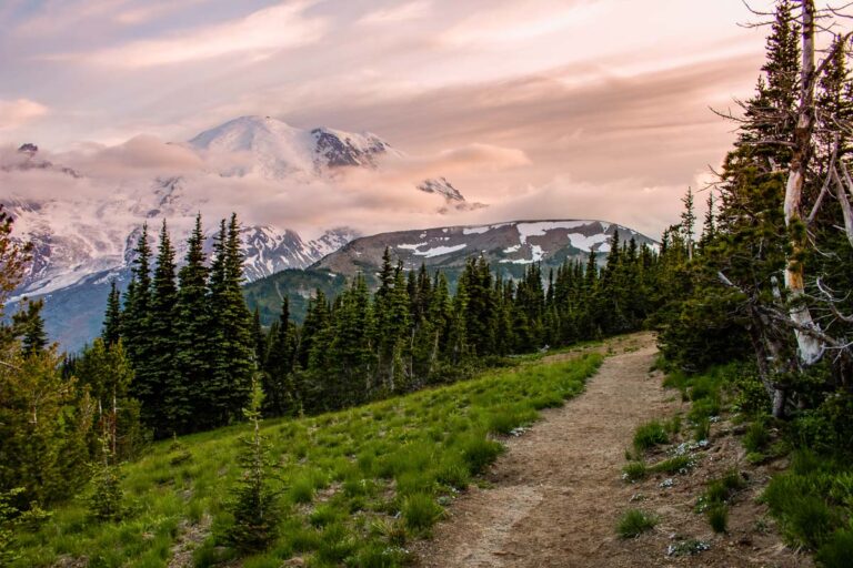 Sourdough Ridge Trail with Mount Rainier views at sunset, Mount Rainier National Park