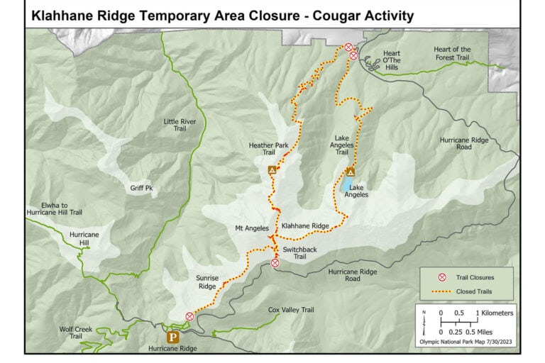 Lake Angeles Area Temporary Closure in Olympic National Park Due to Cougar Attack