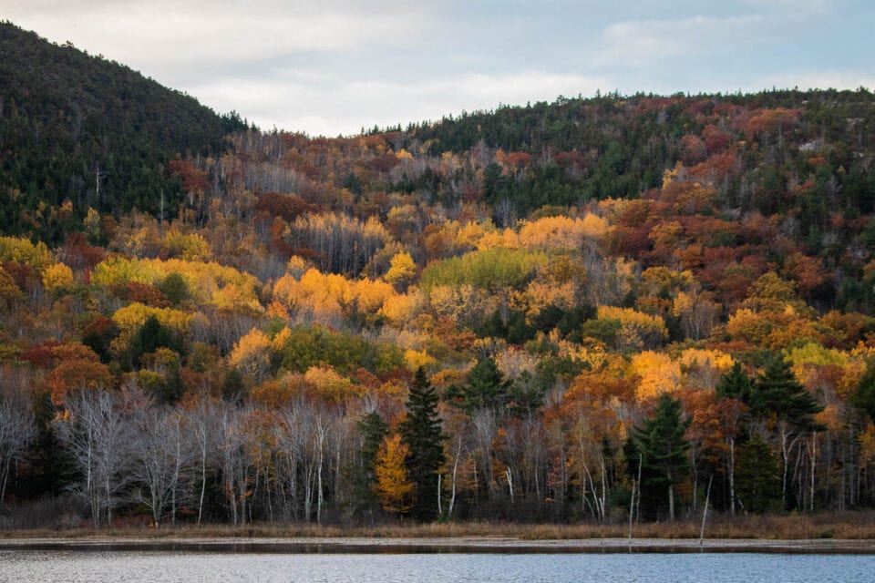 7 Best Places to See Fall Colors in Acadia National Park The National