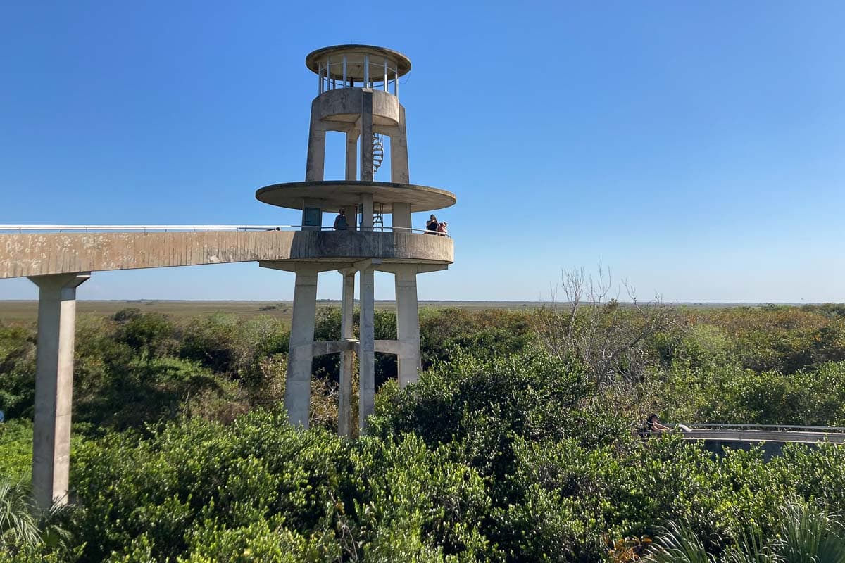 Shark Valley Observation Tower in Everglades National Park