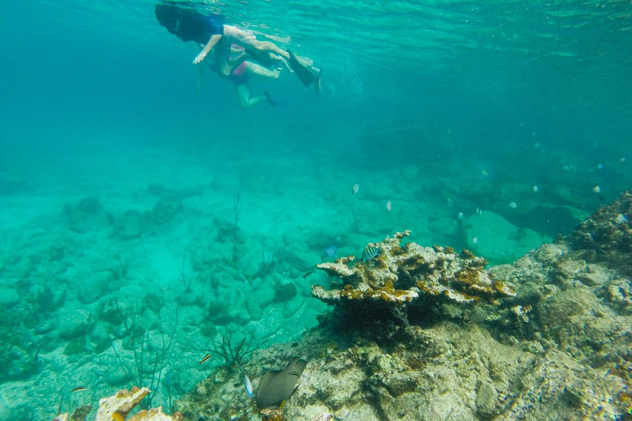 Snorkelers on the Underwater Snorkeling Trail in Trunk Bay, Virgin Islands National Park, U.S. Virgin Islands