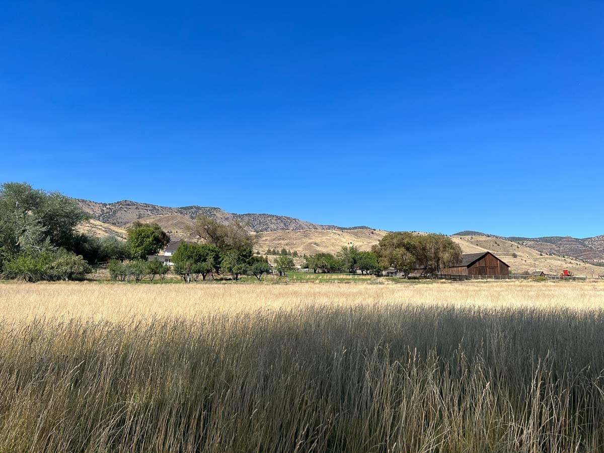 Historic Cant Ranch view from River Trail at Sheep Rock in John Day Fossil Beds National Monument