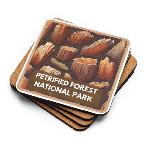 Petrified Forest National Park Coaster