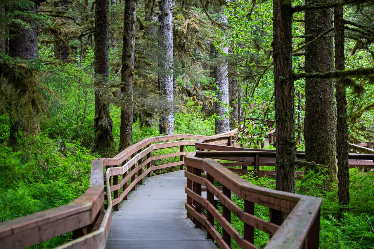 Boardwalk on the Forest Trail in Bartlett Cove, Glacier Bay National Park