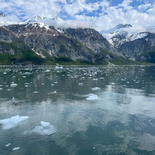 Floating ice in Glacier Bay, Alaska