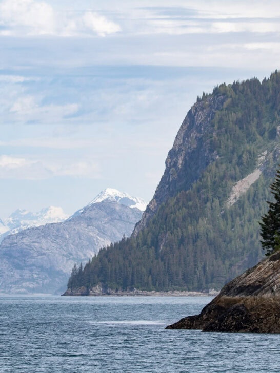 Spectacular shoreline in Glacier Bay National Park, Alaska