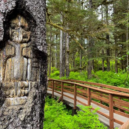 Tree carving on the Forest Trail in Glacier Bay National Park