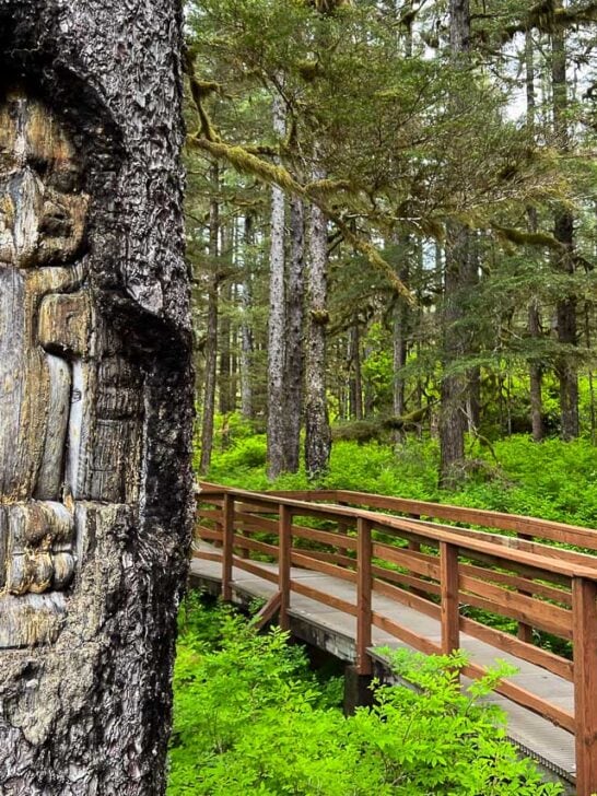 Tree carving on the Forest Trail in Glacier Bay National Park