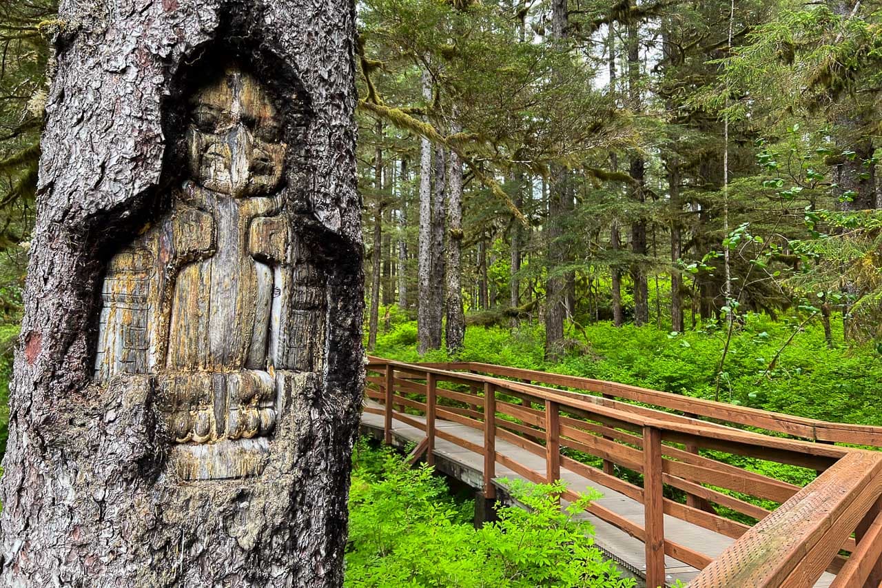 Tree carving on the Forest Trail in Glacier Bay National Park
