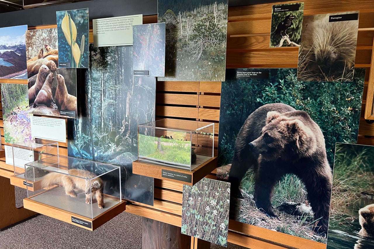 Wildlife exhibit at the Glacier Bay National Park Visitor Center in Glacier Bay Lodge
