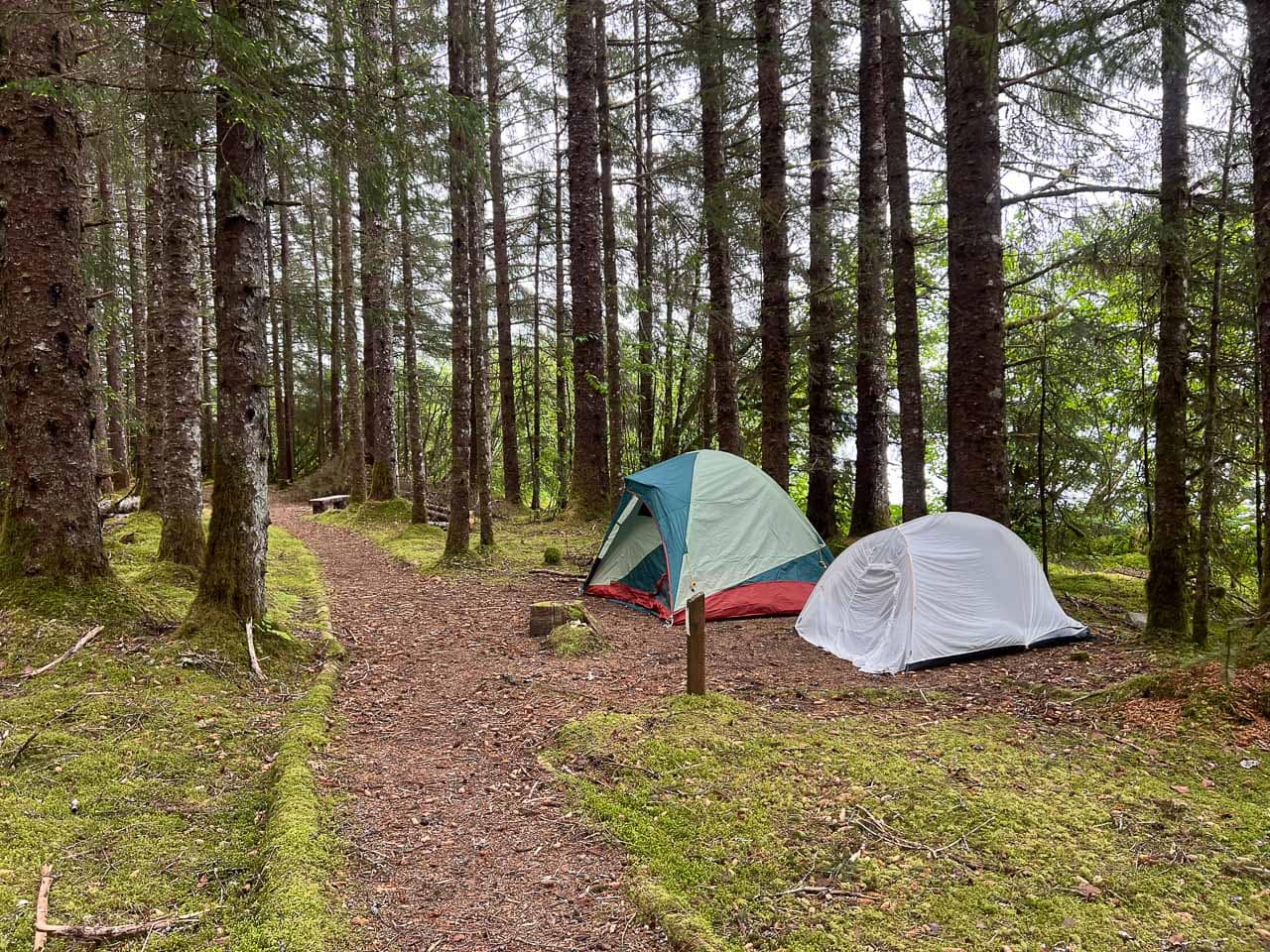 Bartlett Cove Campground in Glacier Bay National Park, Alaska