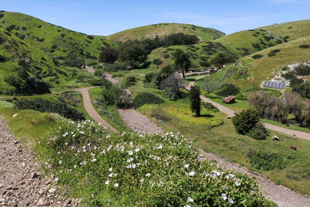 Peaceful landscape at Scorpion Anchorage in Channel Islands National Park, California