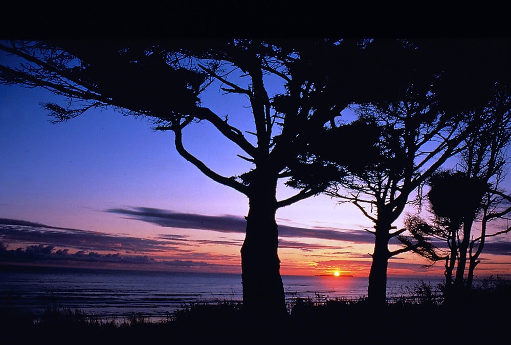 Sunset at Kalaloch Beach in Olympic National Park - Image credit: NPS