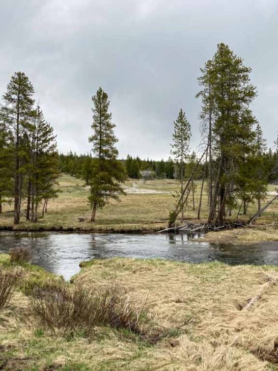 Firehole River at Old Faithful Lodge Cabins, Yellowstone National Park