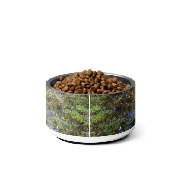 Mount Rainier National Park Pet Bowl - Image 2