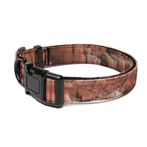 Bryce Canyon National Park Pet Collar