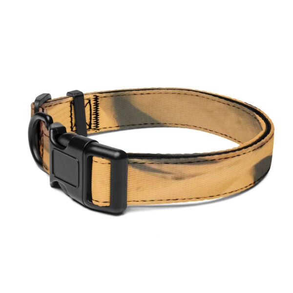 Death Valley National Park Pet Collar