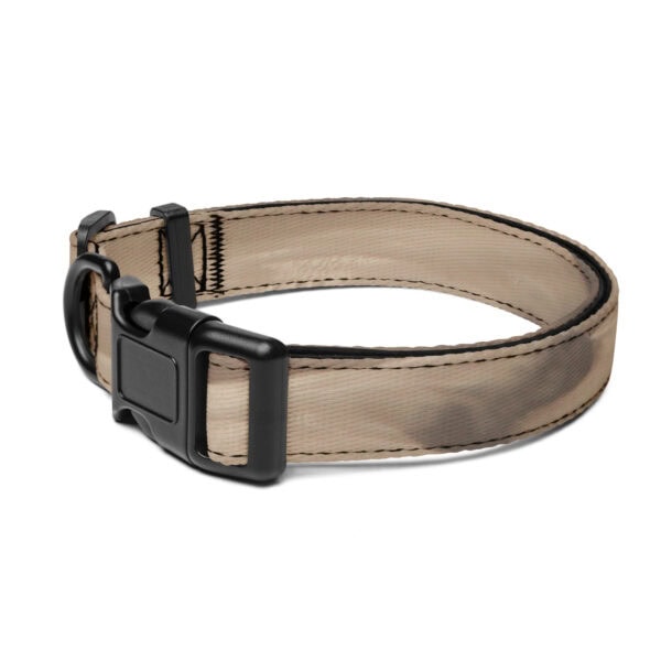 Great Sand Dunes National Park Pet Collar