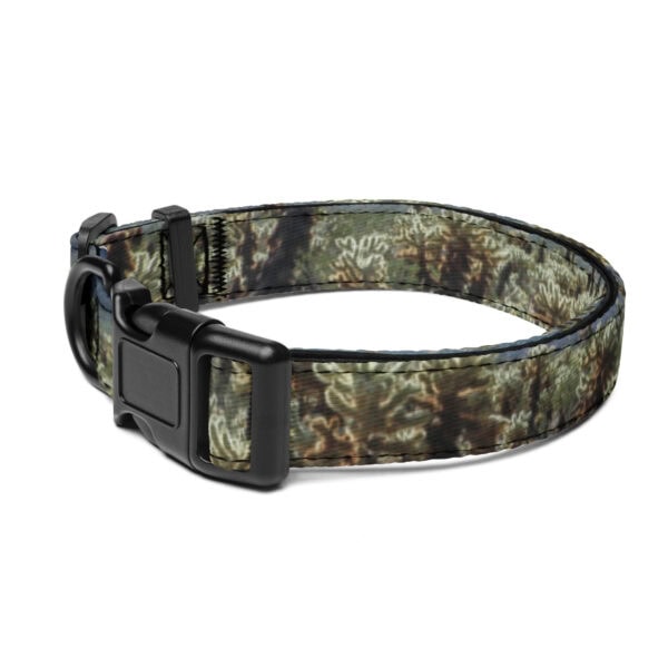 Joshua Tree National Park Pet Collar