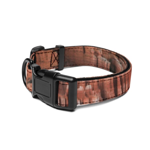 Bryce Canyon National Park Pet Collar - Image 3