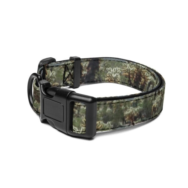 Joshua Tree National Park Pet Collar - Image 3