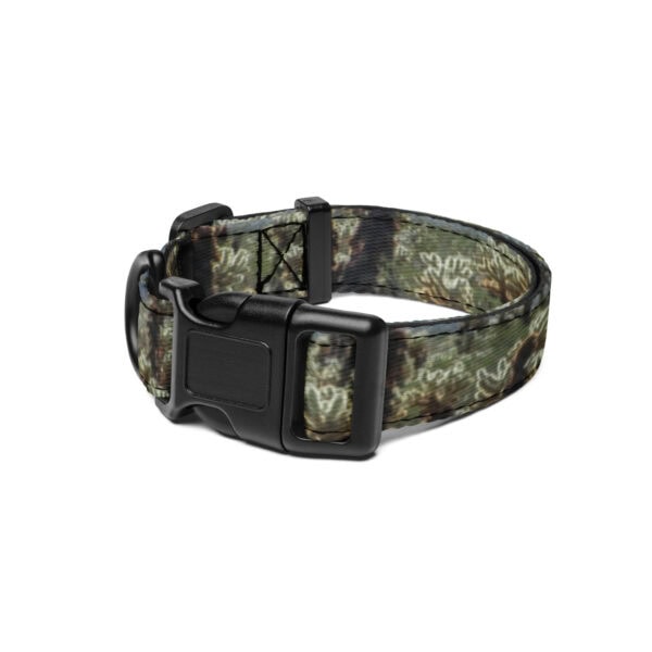 Joshua Tree National Park Pet Collar - Image 2