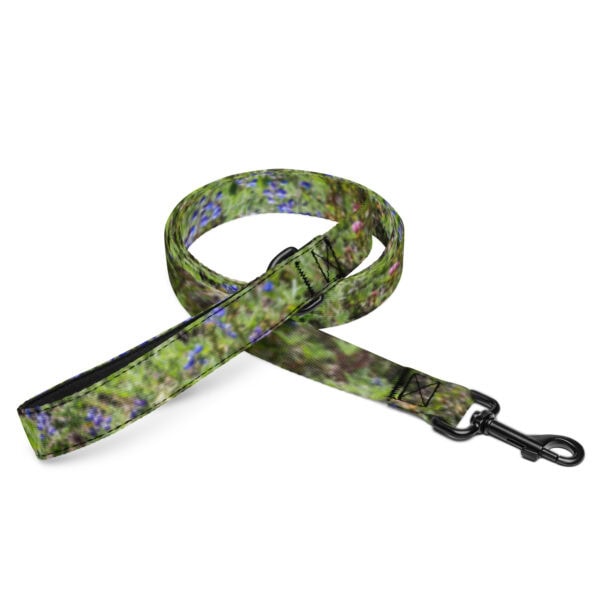 Mount Rainier National Park Pet Leash