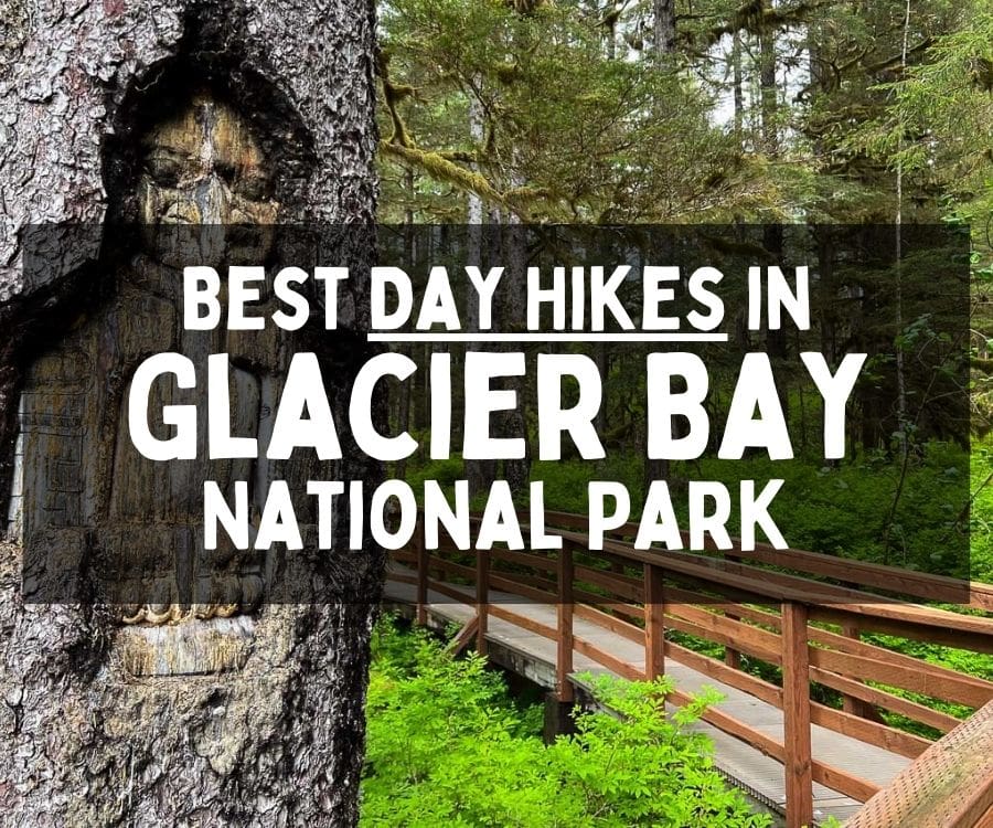 Best Day Hikes in Glacier Bay National Park, Alaska