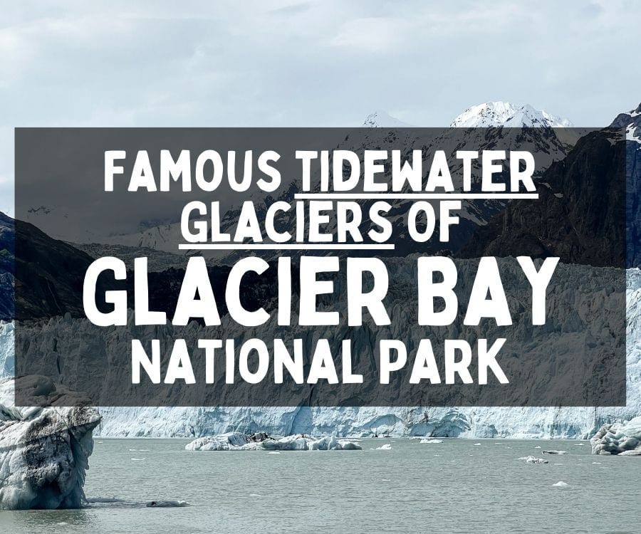 Famous Tidewater Glaciers of Glacier Bay National Park, Alaska