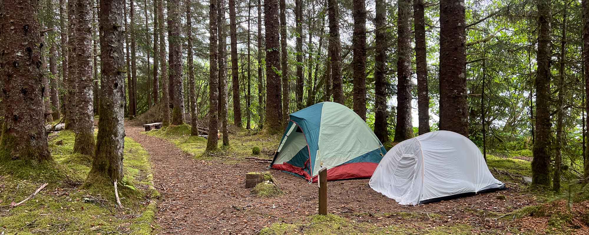 Tents at Bartlett Cove Campground, Glacier Bay