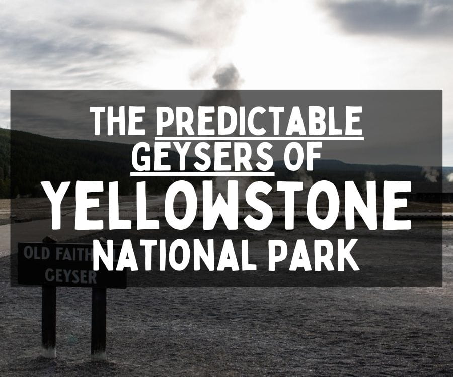 The Predictable Geysers of Yellowstone National Park