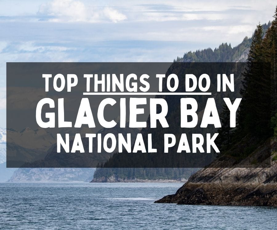 Top Things To Do in Glacier Bay National Park and Bartlett Cove, Alaska